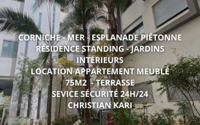 Appartement meublé de standing + terrasse